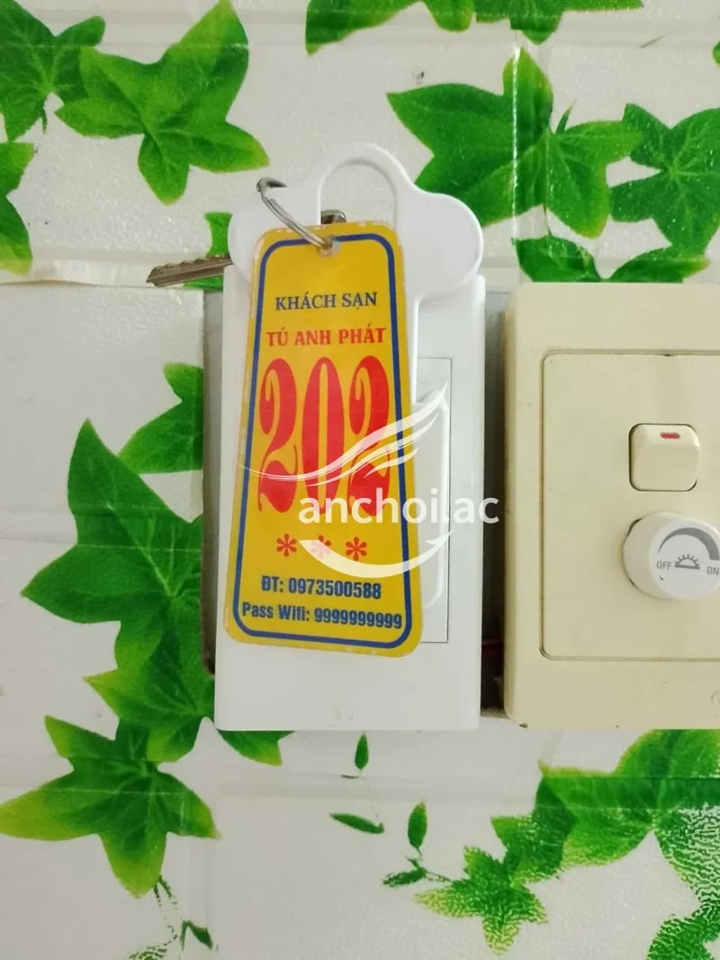 Ok làm tình như máy khâu  đáng đồng tiền  — ảnh 3