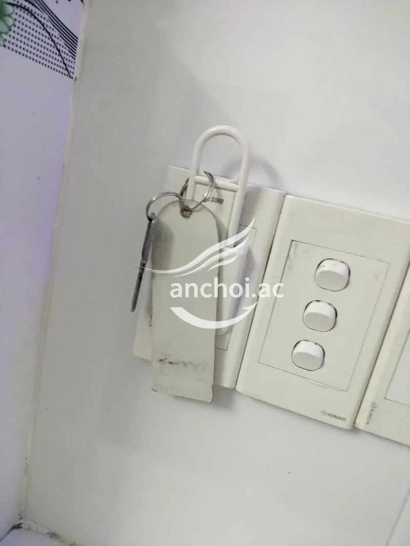 Ấn tượng nhất màn kèn sào vô cùng chất lượng — ảnh 4