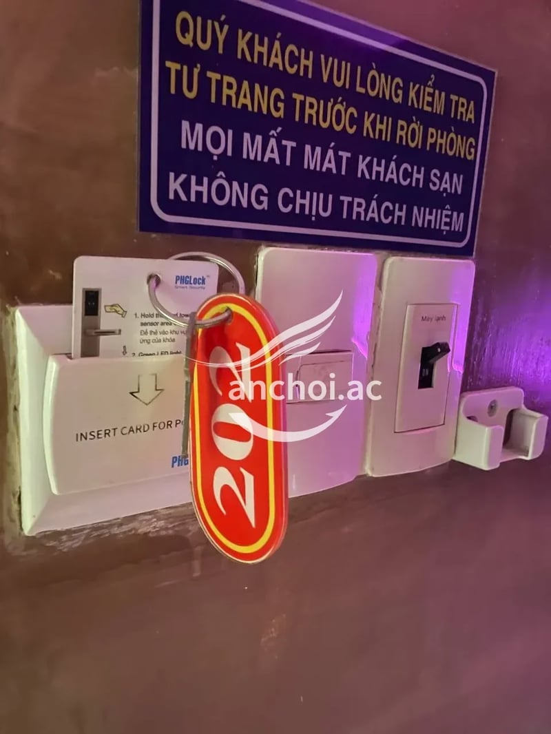 E nó thì k phải nói nhiều. Cũng thuộc top rồi. Ae cứ mạnh dạn đưa chim thôi. — ảnh 2