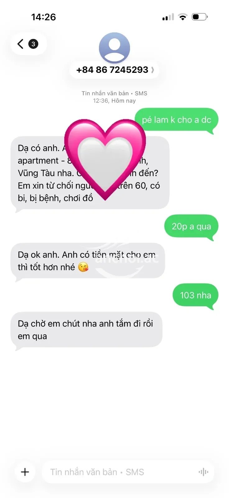 ôm ấp như bồ nhí, ôm hôn nhẹ nhàng, tình cảm và thấy thoải mái. — ảnh 3