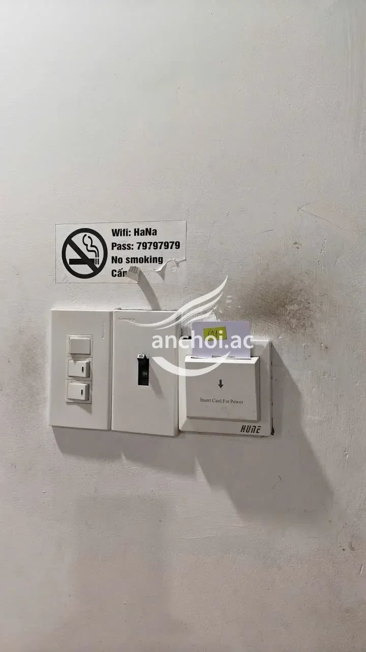 Yêu chị quá ko có gì để chê nhiệt tình — ảnh 4