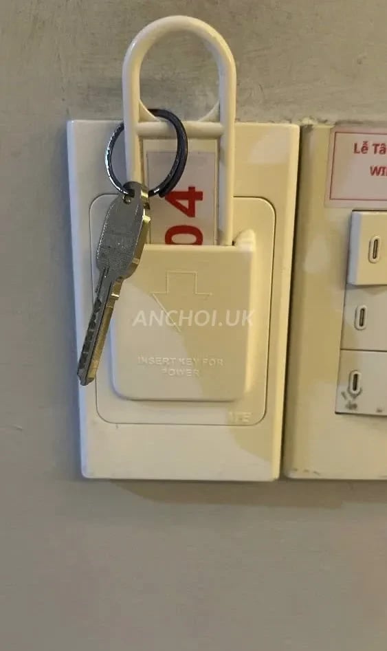 Ngon từ thịt, ngọt từ xương. Phải nói là em này khá xinh — ảnh 2