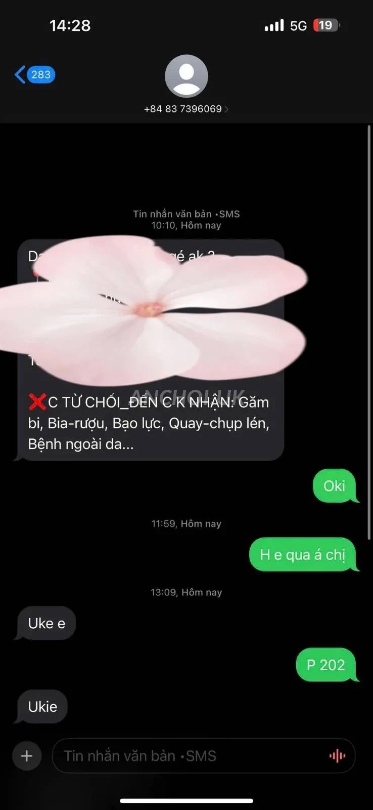xinh xắn tươi tắn dễ thương vô cùng tận, nằm ôm ấp thích vô cùng — ảnh 4