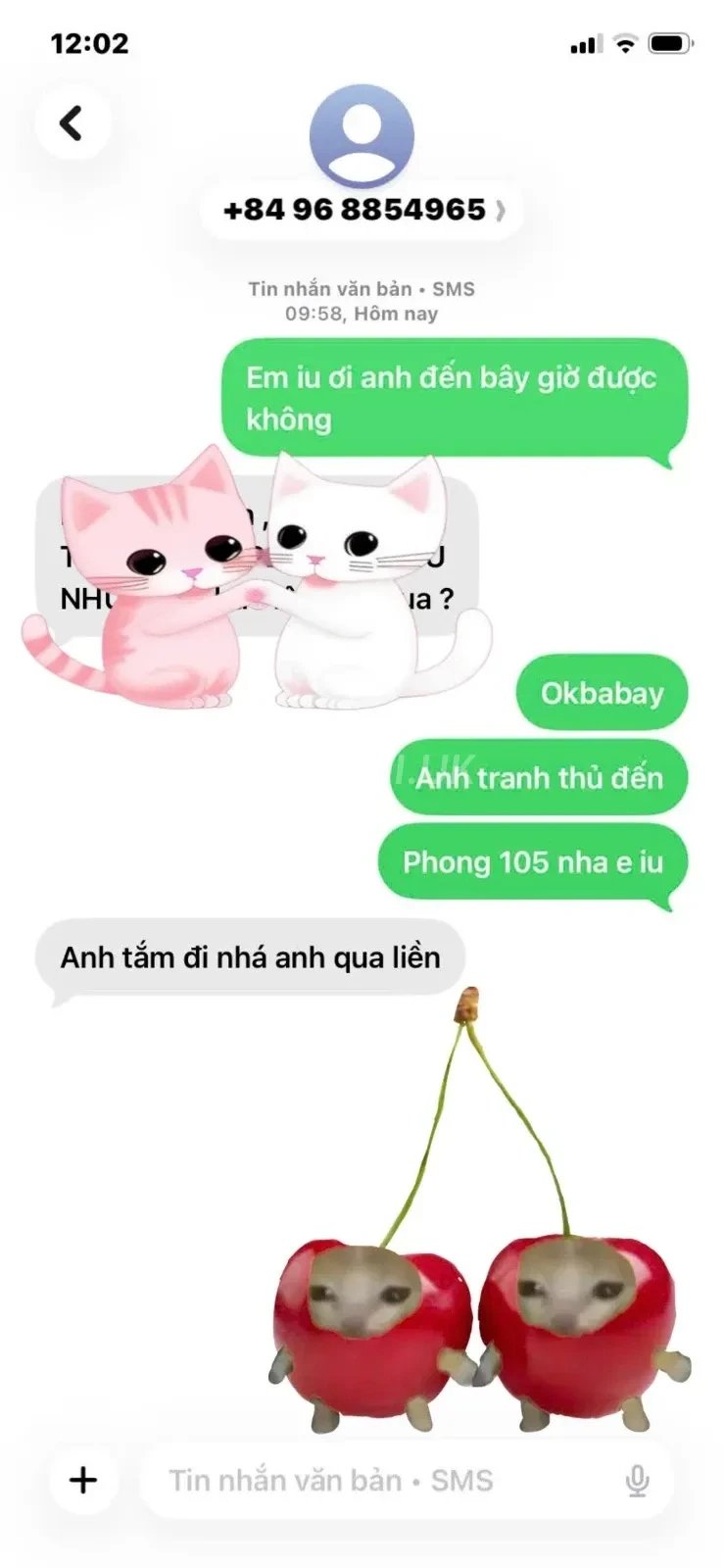 Độ dâm em khỏi bàn hàng ngon chất như nước cất — ảnh 4