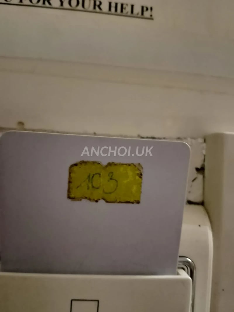 2 quả vú chất luợng. Chiều hết nấc — ảnh 4